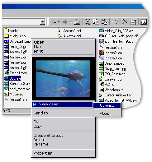 Acloon VideoViewer Screenshot